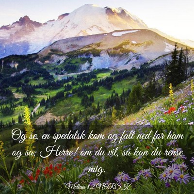 Picture 03 - Matteus 8:2 NORSK - Og se, en spedalsk kom og falt ned for ham og sa: - Bible Verse Picture