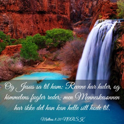 Picture 03 - Matteus 8:20 NORSK - Og Jesus sa til ham: Revene har huler, og - Bible Verse Picture