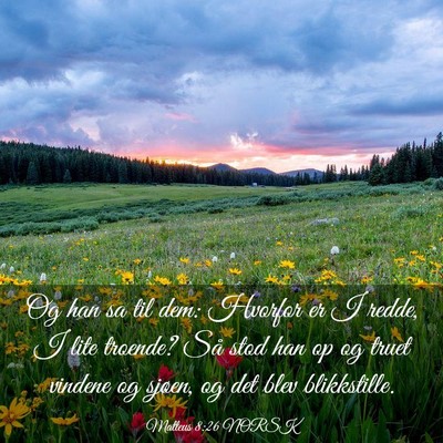 Picture 03 - Matteus 8:26 NORSK - Og han sa til dem: Hvorfor er I redde, I lite - Bible Verse Picture