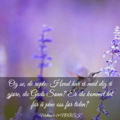 Picture 03 - Matteus 8:29 NORSK - Og se, de ropte: Hvad har vi med dig å gjøre, - Bible Verse Picture
