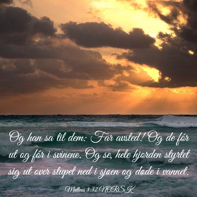 Picture 03 - Matteus 8:32 NORSK - Og han sa til dem: Far avsted! Og de fór ut og - Bible Verse Picture