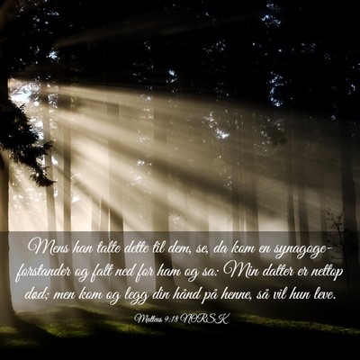 Picture 03 - Matteus 9:18 NORSK - Mens han talte dette til dem, se, da kom en - Bible Verse Picture