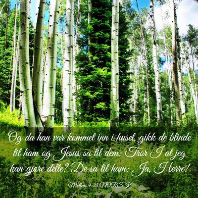 Picture 03 - Matteus 9:28 NORSK - Og da han var kommet inn i huset, gikk de blinde - Bible Verse Picture