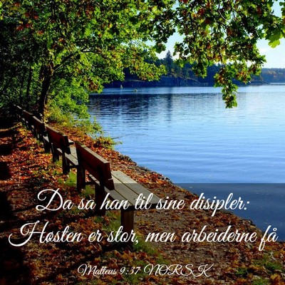 Picture 03 - Matteus 9:37 NORSK - Da sa han til sine disipler: Høsten er stor, men - Bible Verse Picture