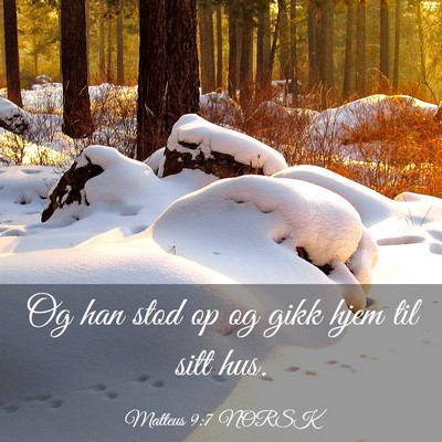 Picture 03 - Matteus 9:7 NORSK - Og han stod op og gikk hjem til sitt - Bible Verse Picture