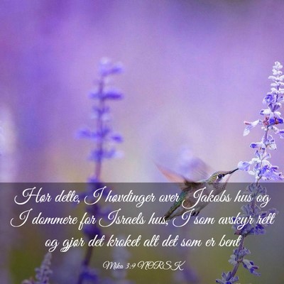 Picture 03 - Mika 3:9 NORSK - Hør dette, I høvdinger over Jakobs hus og I - Bible Verse Picture