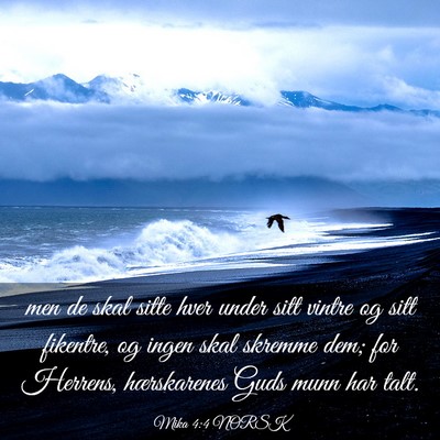 Picture 03 - Mika 4:4 NORSK - men de skal sitte hver under sitt vintre og sitt - Bible Verse Picture