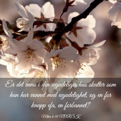 Picture 03 - Mika 6:10 NORSK - Er det ennu i den ugudeliges hus skatter som han - Bible Verse Picture