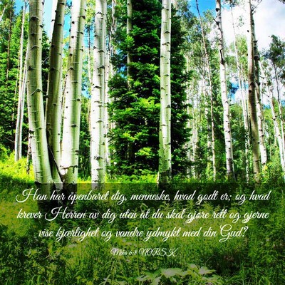 Picture 03 - Mika 6:8 NORSK - Han har åpenbaret dig, menneske, hvad godt er; - Bible Verse Picture