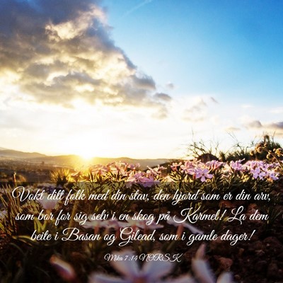 Picture 03 - Mika 7:14 NORSK - Vokt ditt folk med din stav, den hjord som er din - Bible Verse Picture