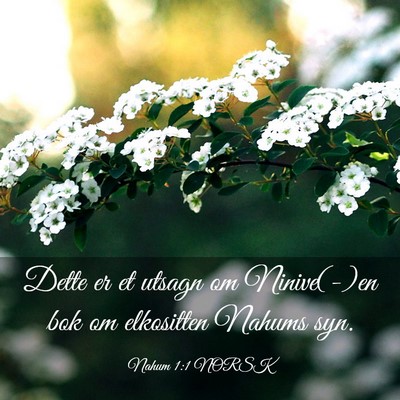 Picture 03 - Nahum 1:1 NORSK - Dette er et utsagn om Ninive(-)en bok om - Bible Verse Picture