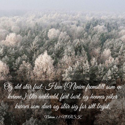 Picture 03 - Nahum 2:7 NORSK - Og det står fast: Hun {Ninive fremstilt som en - Bible Verse Picture
