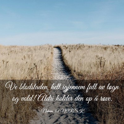 Picture 03 - Nahum 3:1 NORSK - Ve blodstaden, helt igjennem full av løgn og - Bible Verse Picture