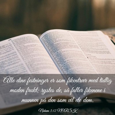 Picture 03 - Nahum 3:12 NORSK - Alle dine festninger er som fikentrær med tidlig - Bible Verse Picture