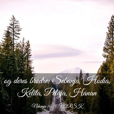 Picture 03 - Nehemja 10:10 NORSK - og deres brødre: Sebanja, Hodia, Kelita, Pelaja, - Bible Verse Picture