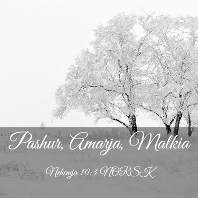 Picture 03 - Nehemja 10:3 NORSK - Pashur, Amarja, - Bible Verse Picture