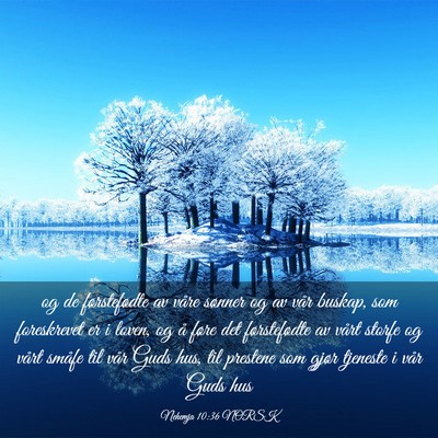 Picture 03 - Nehemja 10:36 NORSK - og de førstefødte av våre sønner og av vår - Bible Verse Picture