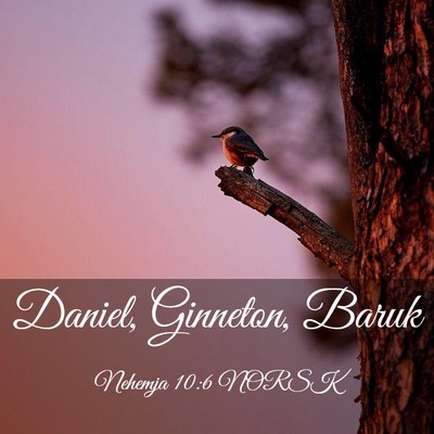 Picture 03 - Nehemja 10:6 NORSK - Daniel, Ginneton, - Bible Verse Picture