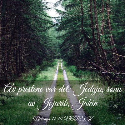 Picture 03 - Nehemja 11:10 NORSK - Av prestene var det: Jedaja, sønn av Jojarib, - Bible Verse Picture