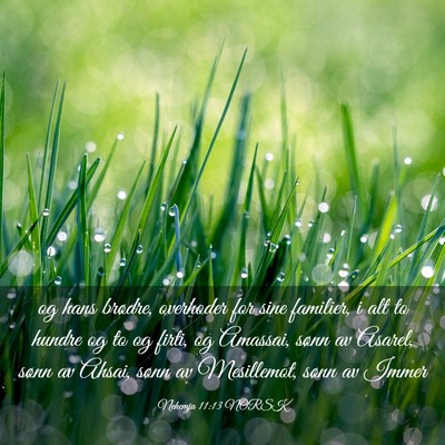 Picture 03 - Nehemja 11:13 NORSK - og hans brødre, overhoder for sine familier, i - Bible Verse Picture