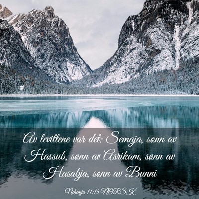 Picture 03 - Nehemja 11:15 NORSK - Av levittene var det: Semaja, sønn av Hassub, - Bible Verse Picture