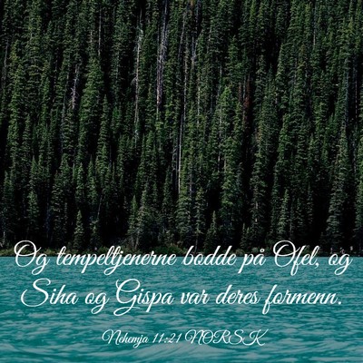 Picture 03 - Nehemja 11:21 NORSK - Og tempeltjenerne bodde på Ofel, og Siha og - Bible Verse Picture