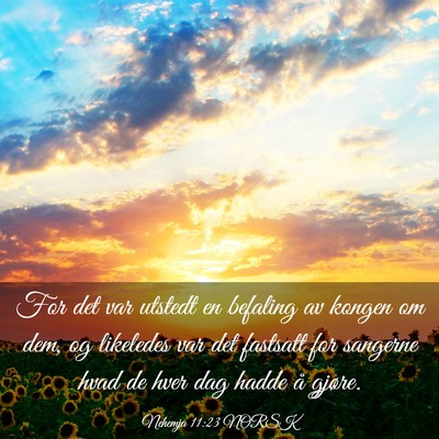 Picture 03 - Nehemja 11:23 NORSK - For det var utstedt en befaling av kongen om dem, - Bible Verse Picture
