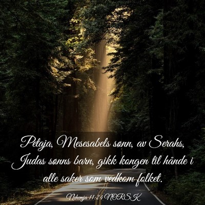 Picture 03 - Nehemja 11:24 NORSK - Petaja, Mesesabels sønn, av Serahs, Judas sønns - Bible Verse Picture