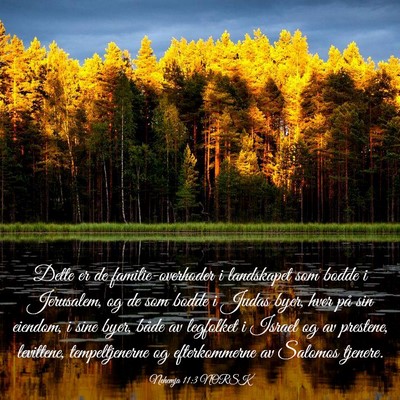 Picture 03 - Nehemja 11:3 NORSK - Dette er de familie-overhoder i landskapet som - Bible Verse Picture
