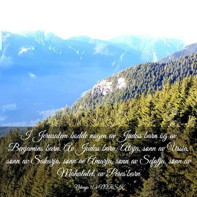 Picture 03 - Nehemja 11:4 NORSK - I Jerusalem bodde nogen av Judas barn og av - Bible Verse Picture