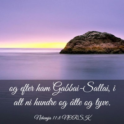 Picture 03 - Nehemja 11:8 NORSK - og efter ham Gabbai-Sallai, i alt ni hundre og - Bible Verse Picture