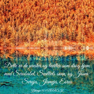 Picture 03 - Nehemja 12:1 NORSK - Dette er de prester og levitter som drog hjem med - Bible Verse Picture