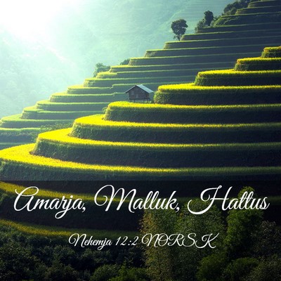 Picture 03 - Nehemja 12:2 NORSK - Amarja, Malluk, - Bible Verse Picture