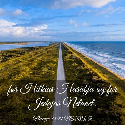 Picture 03 - Nehemja 12:21 NORSK - for Hilkias Hasabja og for Jedajas - Bible Verse Picture