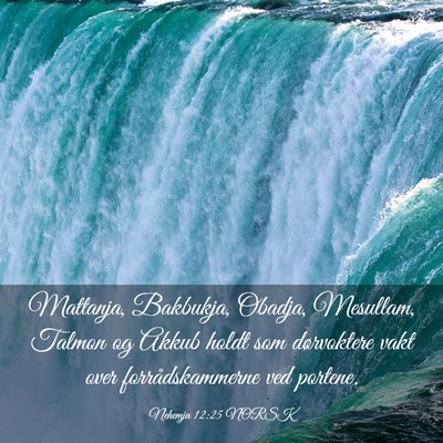 Picture 03 - Nehemja 12:25 NORSK - Mattanja, Bakbukja, Obadja, Mesullam, Talmon og - Bible Verse Picture