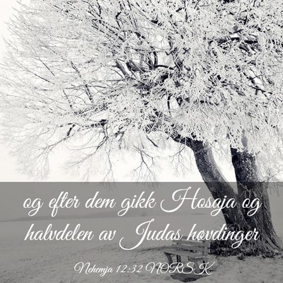 Picture 03 - Nehemja 12:32 NORSK - og efter dem gikk Hosaja og halvdelen av Judas - Bible Verse Picture