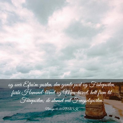 Picture 03 - Nehemja 12:39 NORSK - og over Efra'm-porten, den gamle port og - Bible Verse Picture