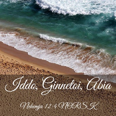 Picture 03 - Nehemja 12:4 NORSK - Iddo, Ginnetoi, - Bible Verse Picture