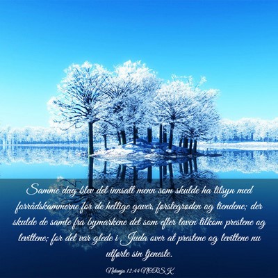 Picture 03 - Nehemja 12:44 NORSK - Samme dag blev det innsatt menn som skulde ha - Bible Verse Picture