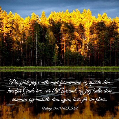 Picture 03 - Nehemja 13:11 NORSK - Da gikk jeg i rette med formennene og spurte dem - Bible Verse Picture