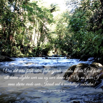 Picture 03 - Nehemja 13:18 NORSK - Var det ikke fordi eders fedre gjorde således at - Bible Verse Picture