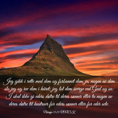 Picture 03 - Nehemja 13:25 NORSK - Jeg gikk i rette med dem og forbannet dem, ja, - Bible Verse Picture