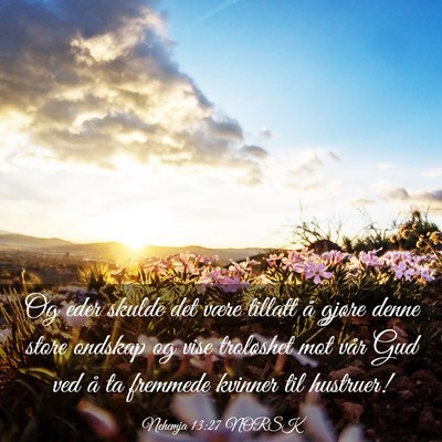 Picture 03 - Nehemja 13:27 NORSK - Og eder skulde det være tillatt å gjøre denne - Bible Verse Picture