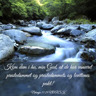 Picture 03 - Nehemja 13:29 NORSK - Kom dem i hu, min Gud, at de har vanæret - Bible Verse Picture