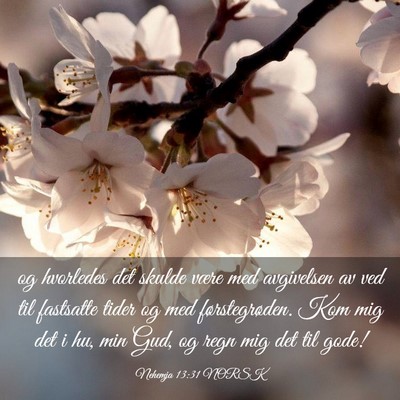 Picture 03 - Nehemja 13:31 NORSK - og hvorledes det skulde være med avgivelsen av - Bible Verse Picture