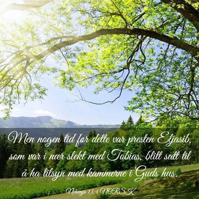 Picture 03 - Nehemja 13:4 NORSK - Men nogen tid før dette var presten Eljasib, som - Bible Verse Picture