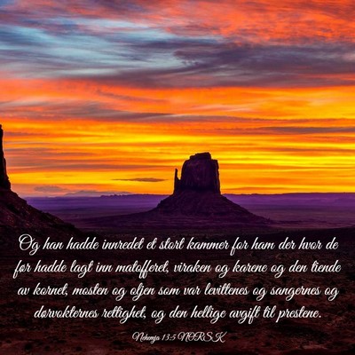 Picture 03 - Nehemja 13:5 NORSK - Og han hadde innredet et stort kammer for ham der - Bible Verse Picture
