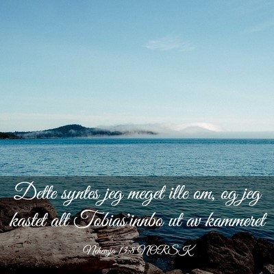 Picture 03 - Nehemja 13:8 NORSK - Dette syntes jeg meget ille om, og jeg kastet alt - Bible Verse Picture