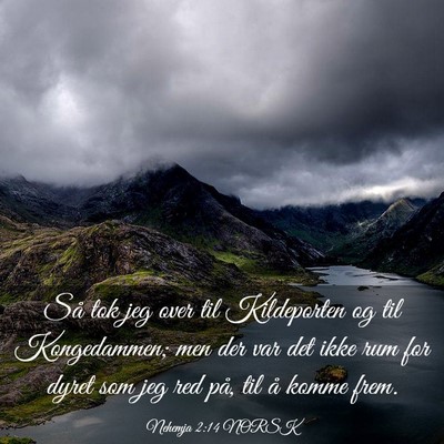 Picture 03 - Nehemja 2:14 NORSK - Så tok jeg over til Kildeporten og til - Bible Verse Picture