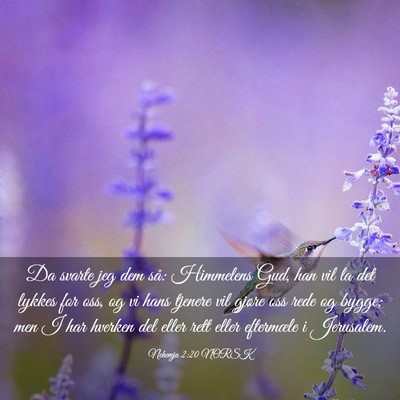 Picture 03 - Nehemja 2:20 NORSK - Da svarte jeg dem så: Himmelens Gud, han vil la - Bible Verse Picture